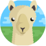 LLaMA2 icon